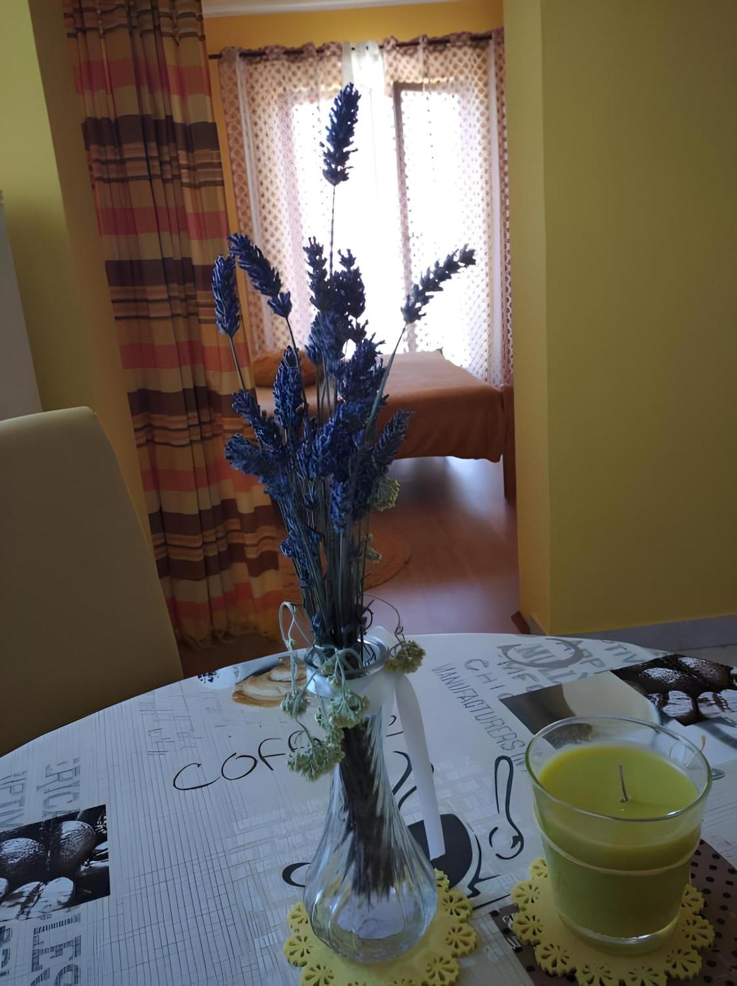Cozy Apartments Danica Novalja With Terrace - First Floor Exterior foto