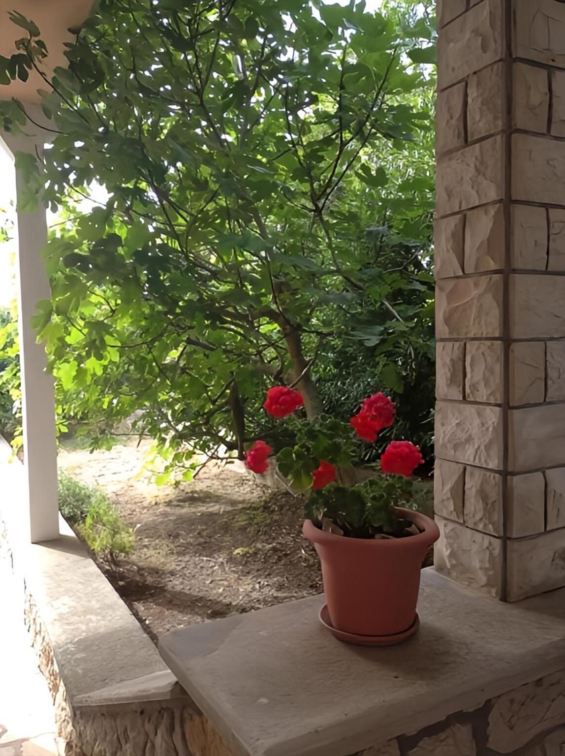 Cozy Apartments Danica Novalja With Terrace - First Floor Exterior foto